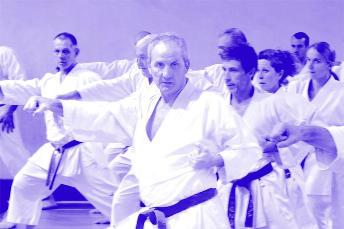 bernard-bilicki_karate-gym-club-nervers-2016