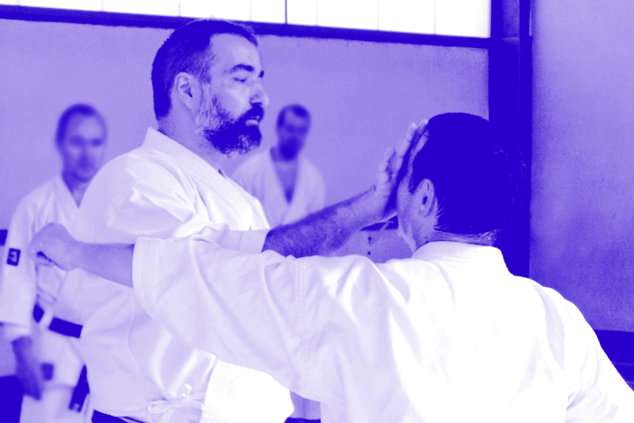 stage-uechi_ryu-raphael-brigand-kgcn-2017